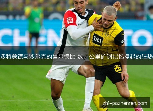 多特蒙德与沙尔克的鲁尔德比 数十公里矿钢记忆撑起的狂热